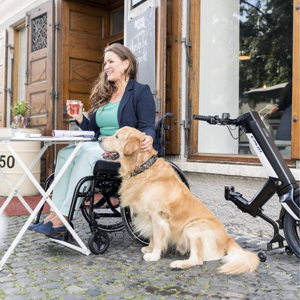 Invacare, Alber E-Pilot powered assistance